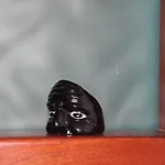 Toto Style Prázdninový dům
